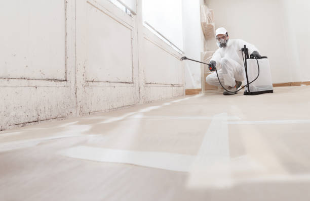 24/7 Emergency Black Mold Remediation experts in Occoquan, VA